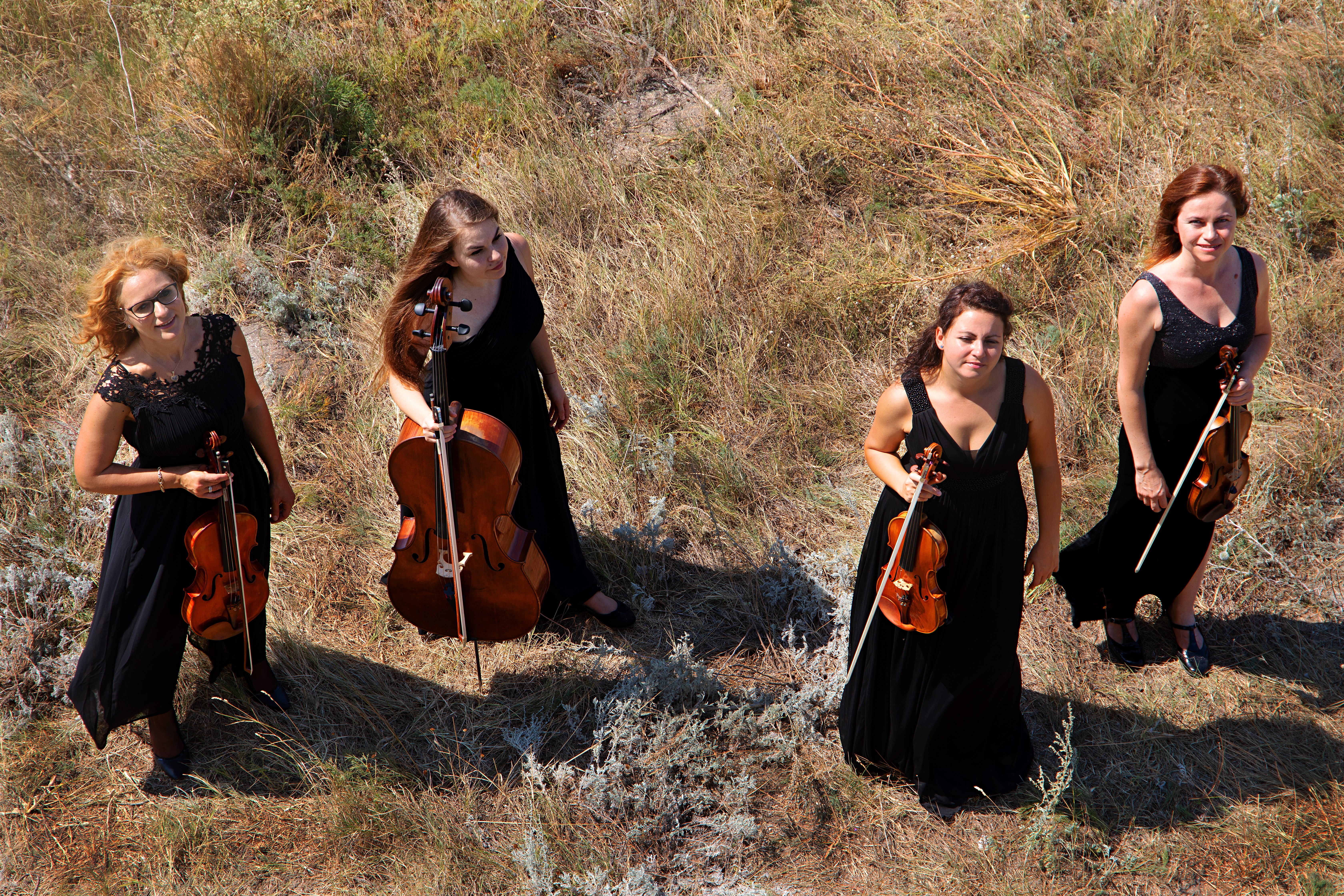 Frosch String Quartet